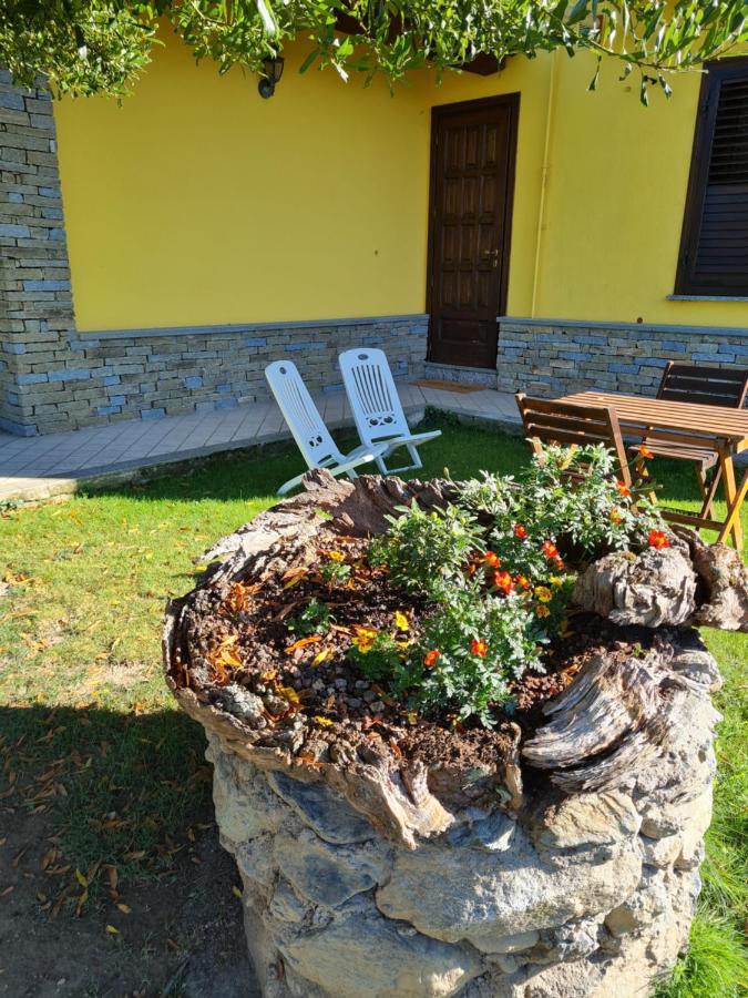 Alla Damigiana Sant'Ambrogio di Torino Εξωτερικό φωτογραφία